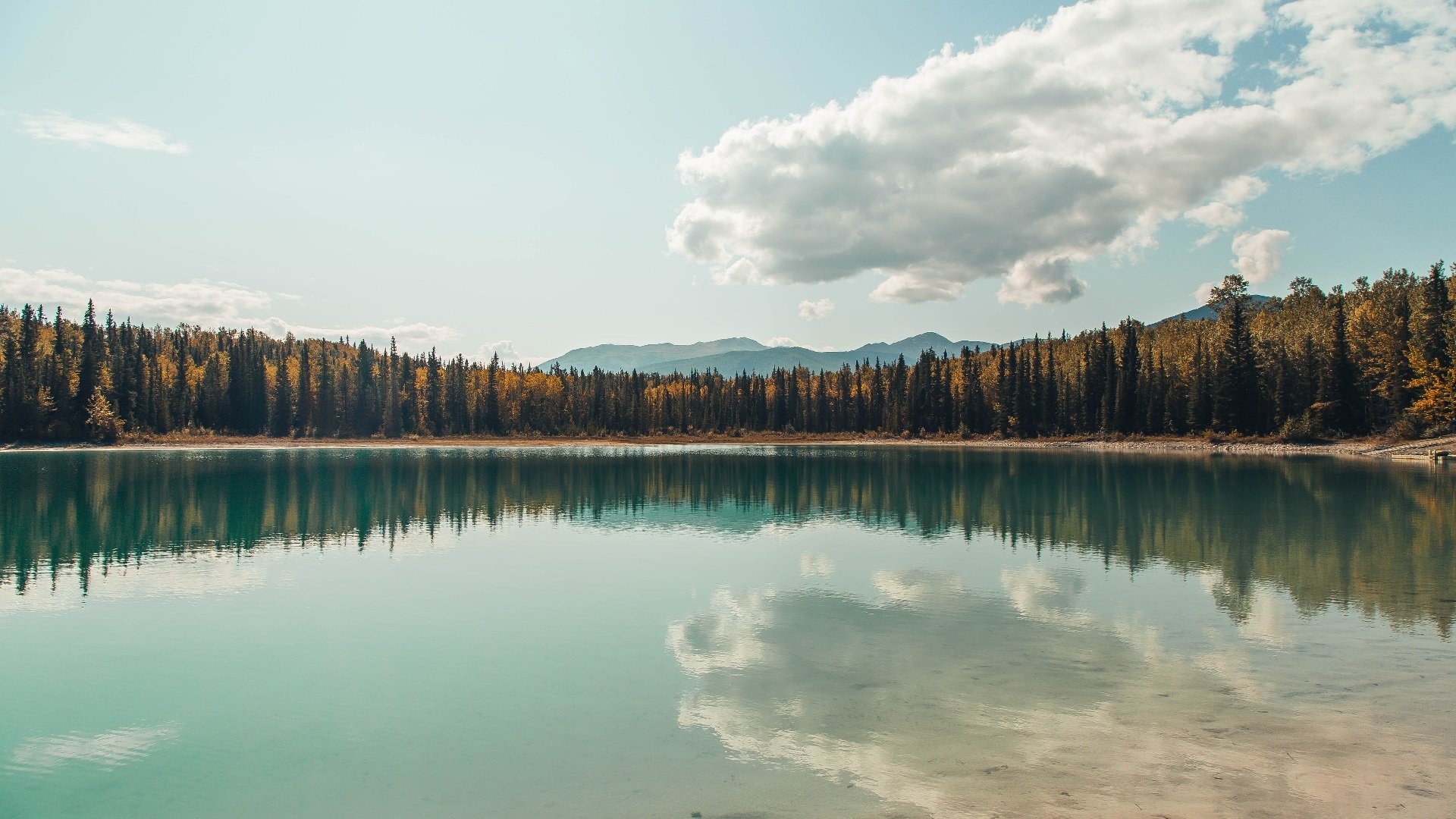摩纳哥精密解剖拜仁，阿劳霍用铁血防守定义大场面先生