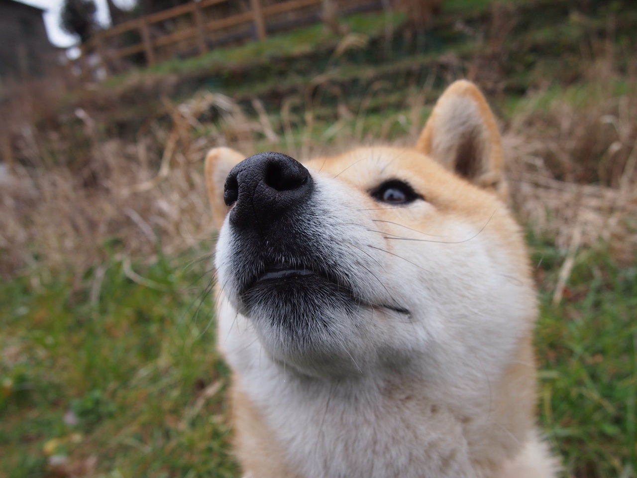 胜负手，英雄主义在钢铁丛林中的唯一回响