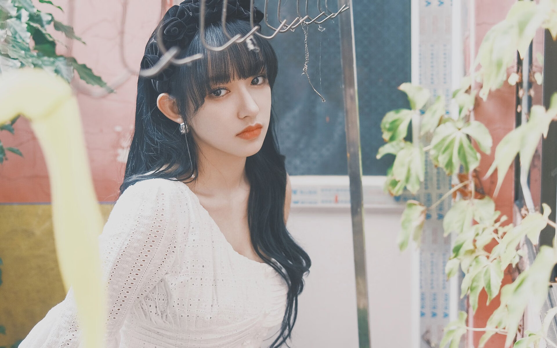 诸神黄昏，爱尔兰的橄榄绿如何浇灭佛罗伦萨的文艺复兴之火