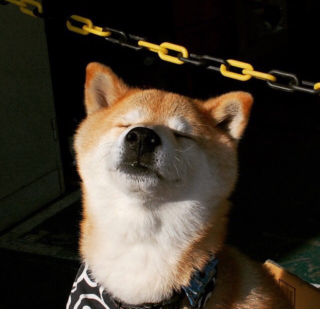 战术风暴，吉林队巧施妙计压制鹈鹕，拉梅洛·鲍尔挺身而出定乾坤