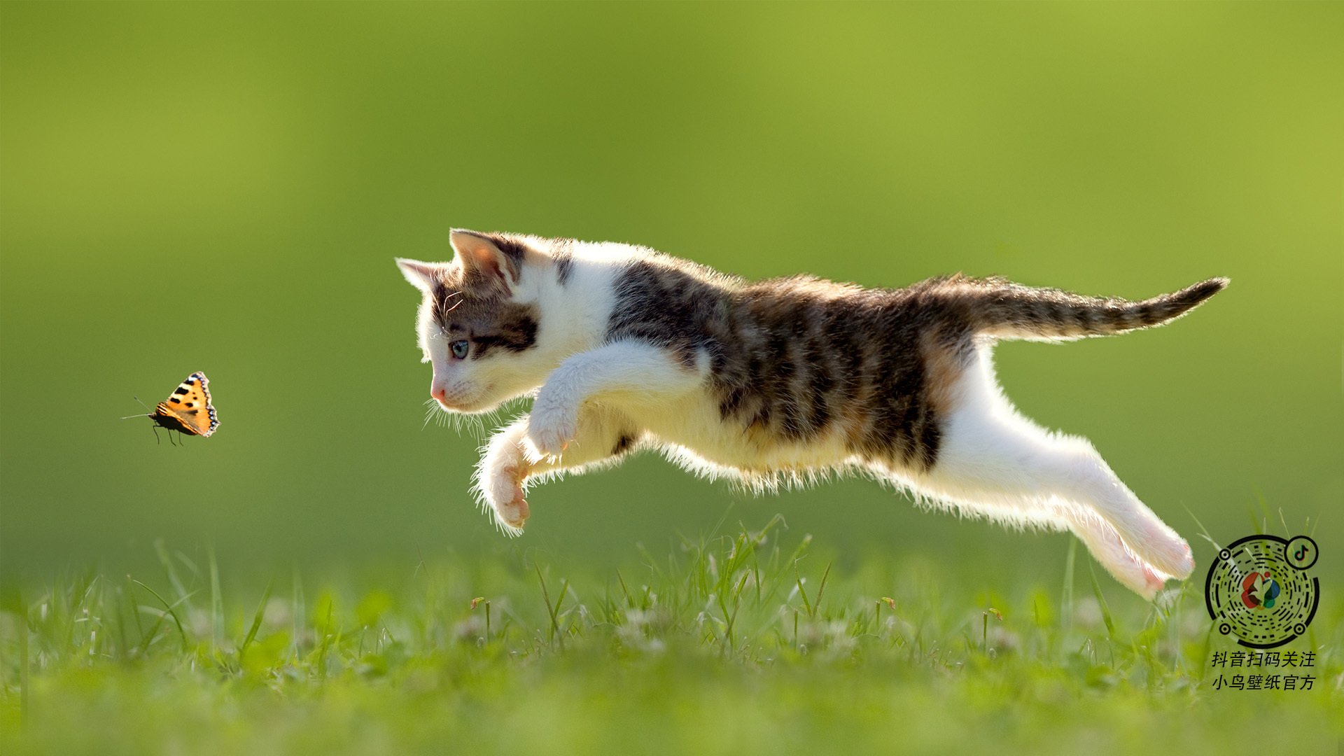 开云体育APP下载-棋盘与箭矢，当切特在巴林赛道接管比赛时，布鲁克林正编织爆冷的网