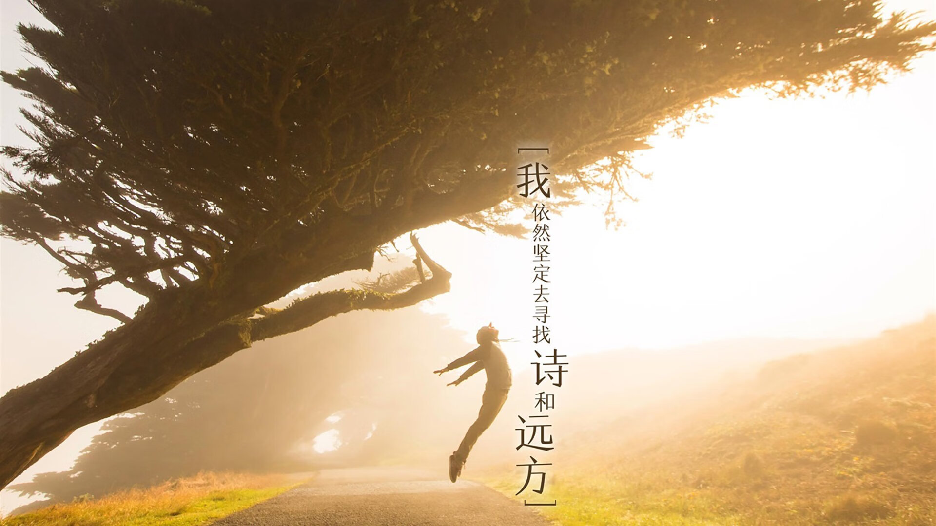 铁血对决，楚阿梅尼横空出世，助德国力克奥地利