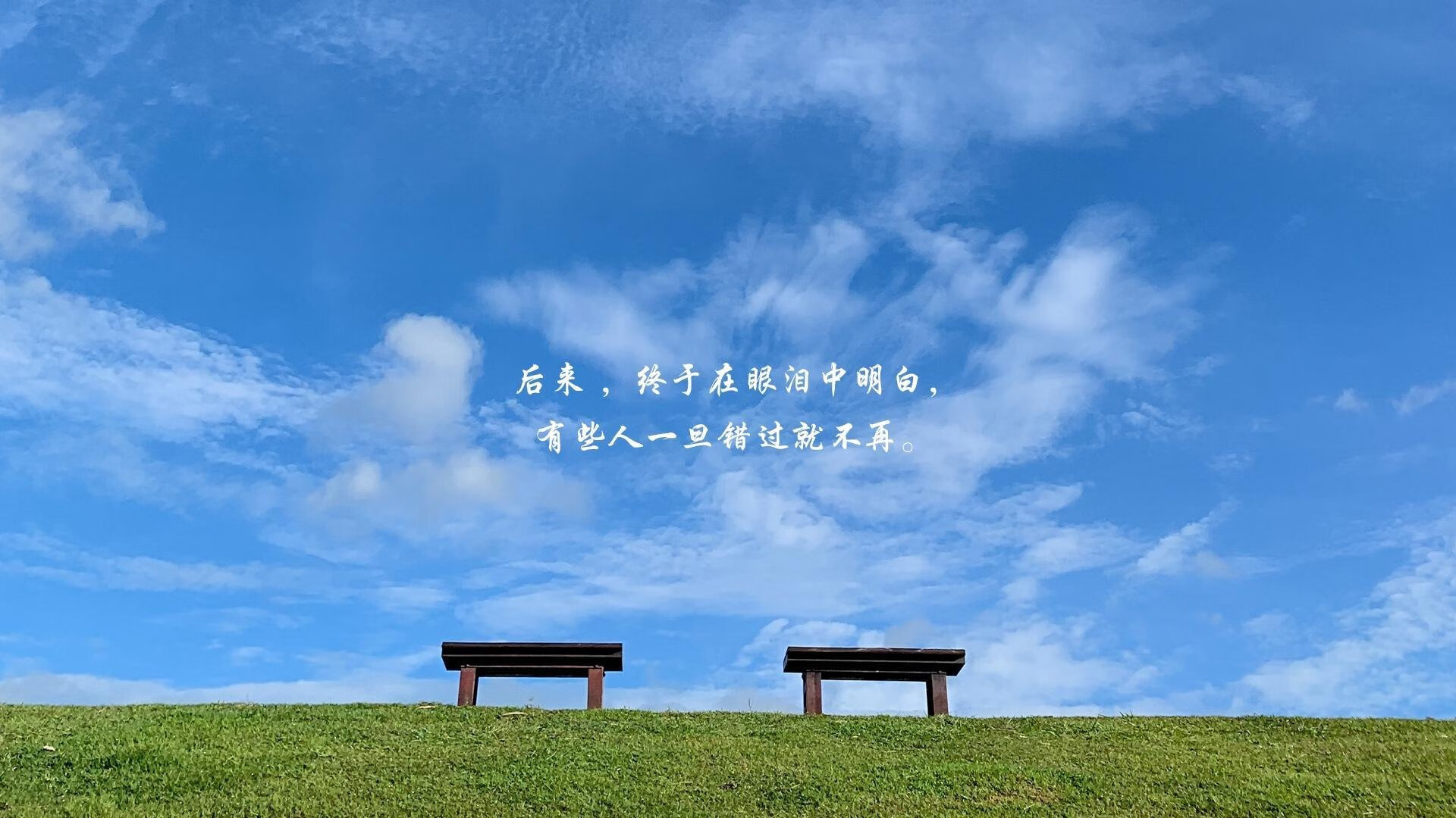 魔笛绝唱，2026世界杯E组，保加利亚铁血防线与中场艺术铸就的致命一击