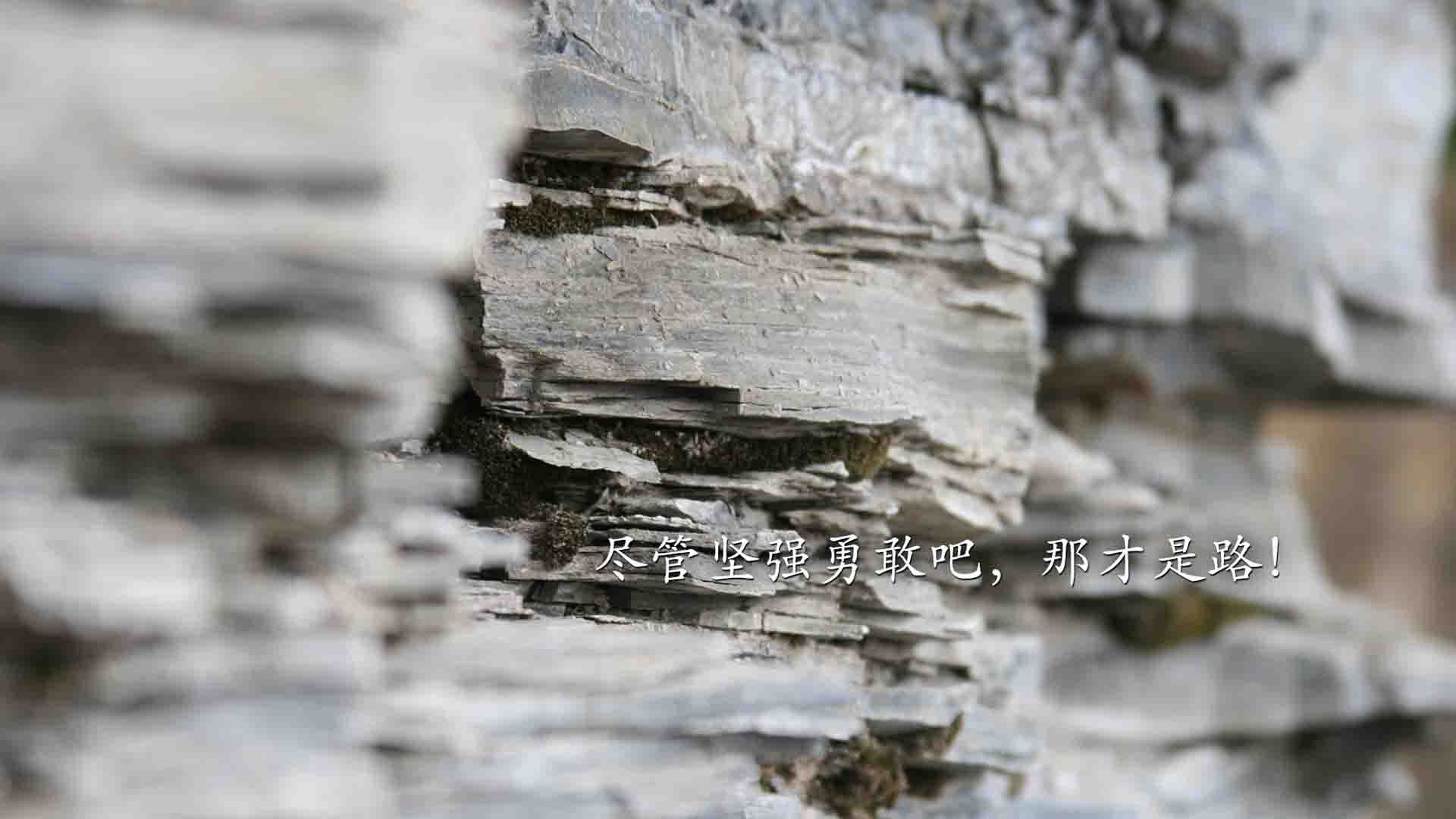 颠覆的唯一，当葡萄牙的华丽控球，碾过德意志的钢铁意志